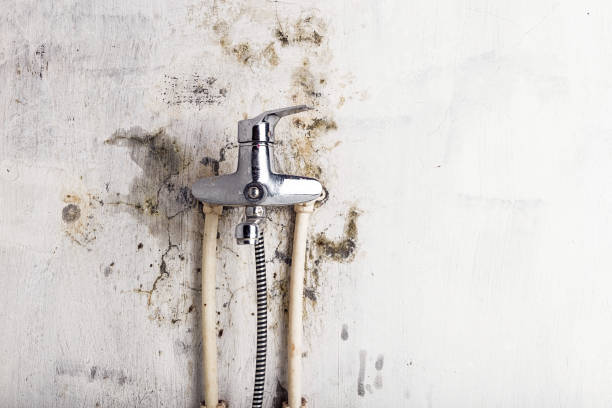 Best Mold Remediation for Specific Building Types in Teays Valley, WV