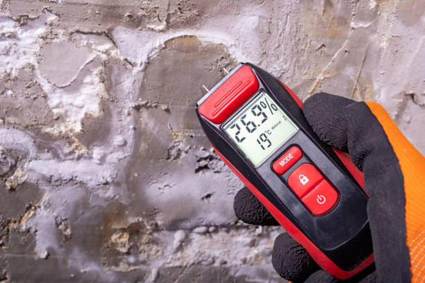 Best Crawl Space Mold Remediation in Teays Valley, WV
